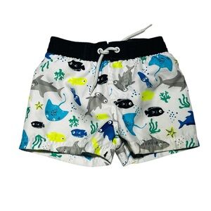 Koala‎ Kids Blue and Yellow Swim Trunks